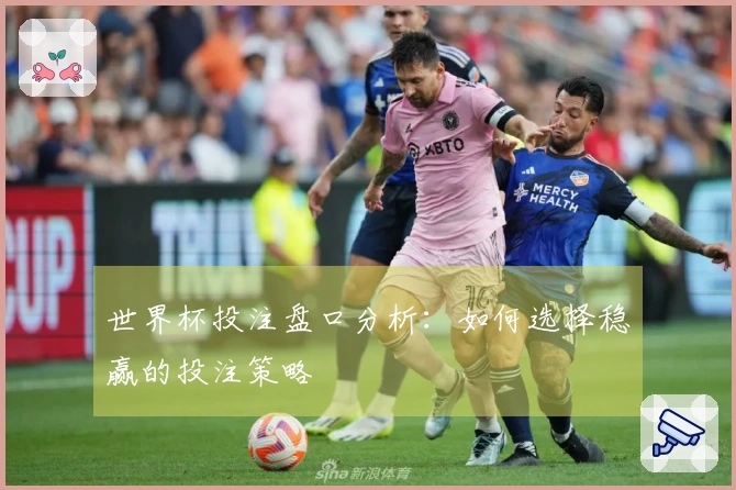 世界杯投注盘口分析：如何选择稳赢的投注策略