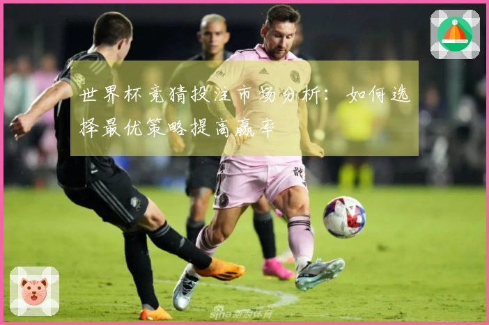 世界杯竞猜投注市场分析：如何选择最优策略提高赢率