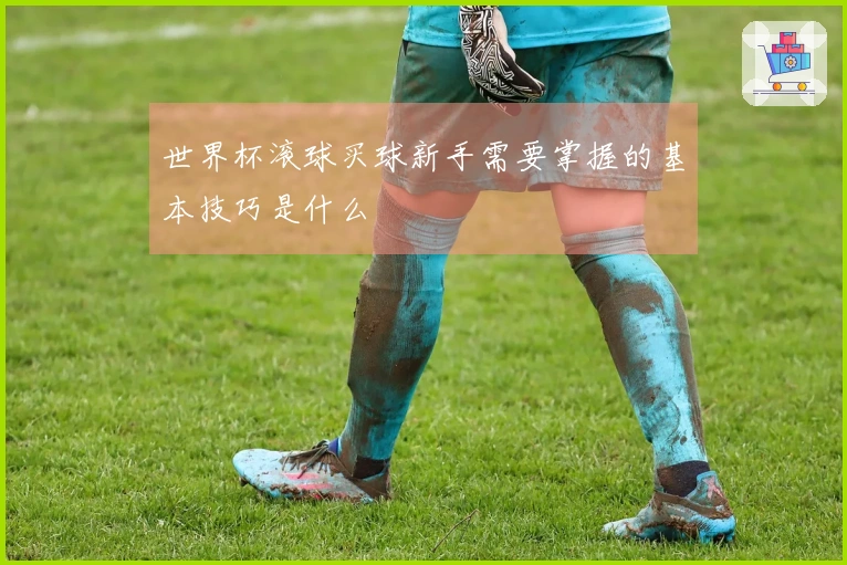 世界杯滚球买球新手需要掌握的基本技巧是什么