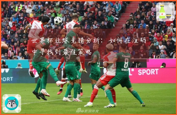 世界杯让球竞猜分析：如何在注码中寻找到最佳策略