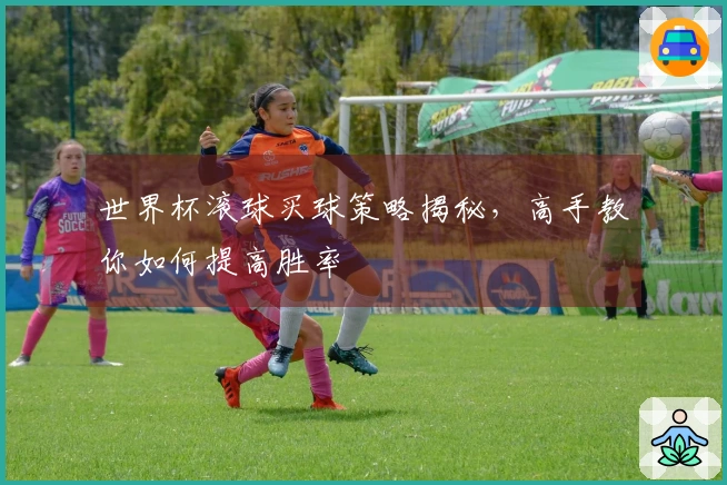 世界杯滚球买球策略揭秘，高手教你如何提高胜率