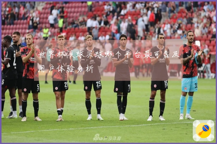 世界杯滚球买球哪个平台最可靠及用户体验分析