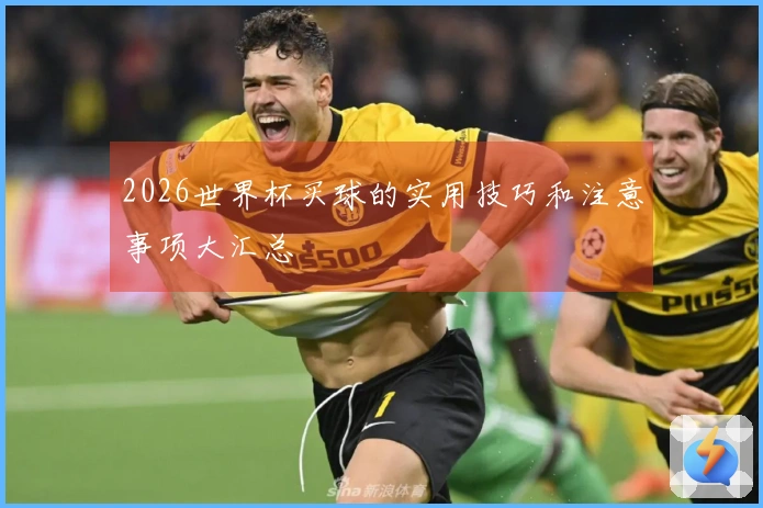 2026世界杯买球的实用技巧和注意事项大汇总