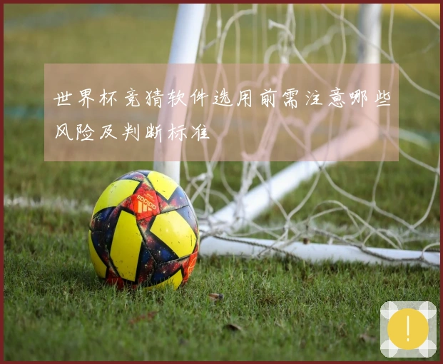 世界杯竞猜软件选用前需注意哪些风险及判断标准