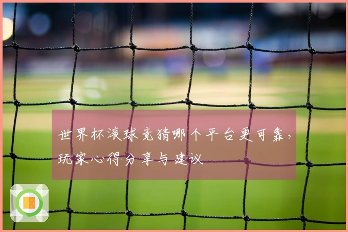 世界杯滚球竞猜哪个平台更可靠，玩家心得分享与建议