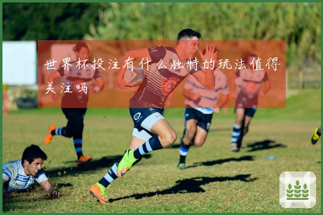 世界杯投注有什么独特的玩法值得关注吗