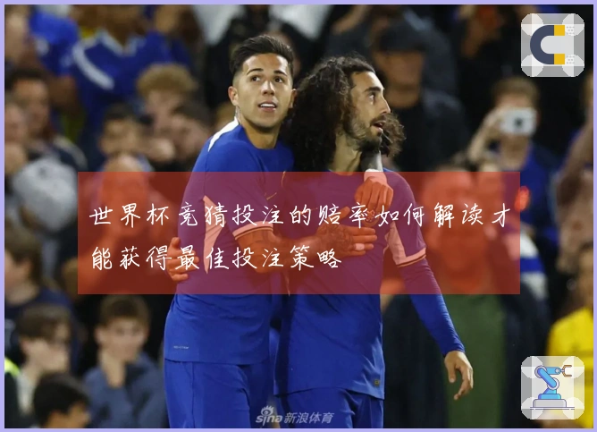 世界杯竞猜投注的赔率如何解读才能获得最佳投注策略