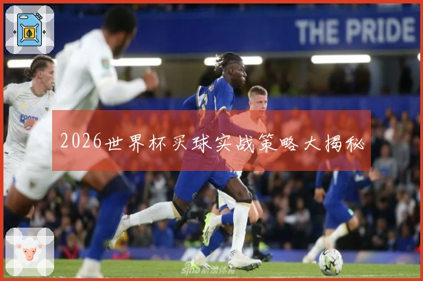 2026世界杯买球实战策略大揭秘