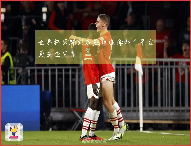 世界杯买球到底应该选择哪个平台更安全可靠