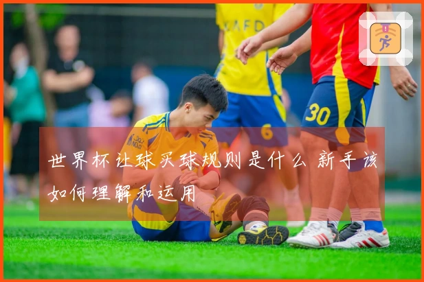 世界杯让球买球规则是什么 新手该如何理解和运用