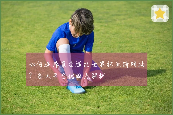 如何选择最合适的世界杯竞猜网站？各大平台优缺点解析