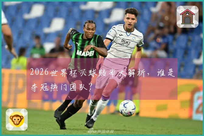 2026世界杯买球赔率大解析,谁是夺冠热门团队?