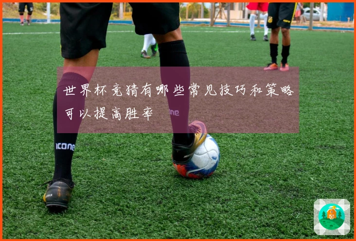 世界杯竞猜有哪些常见技巧和策略可以提高胜率