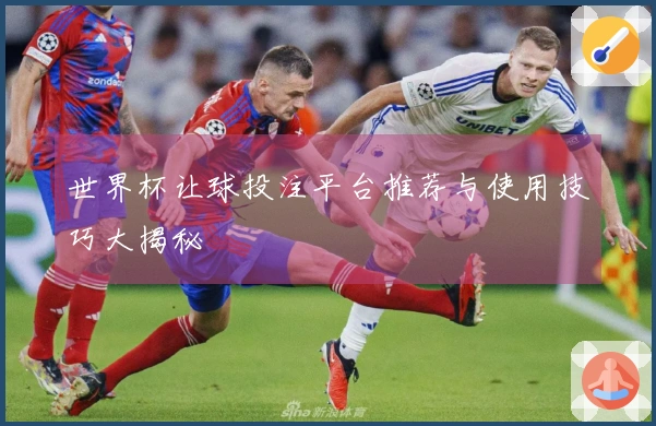 世界杯让球投注平台推荐与使用技巧大揭秘