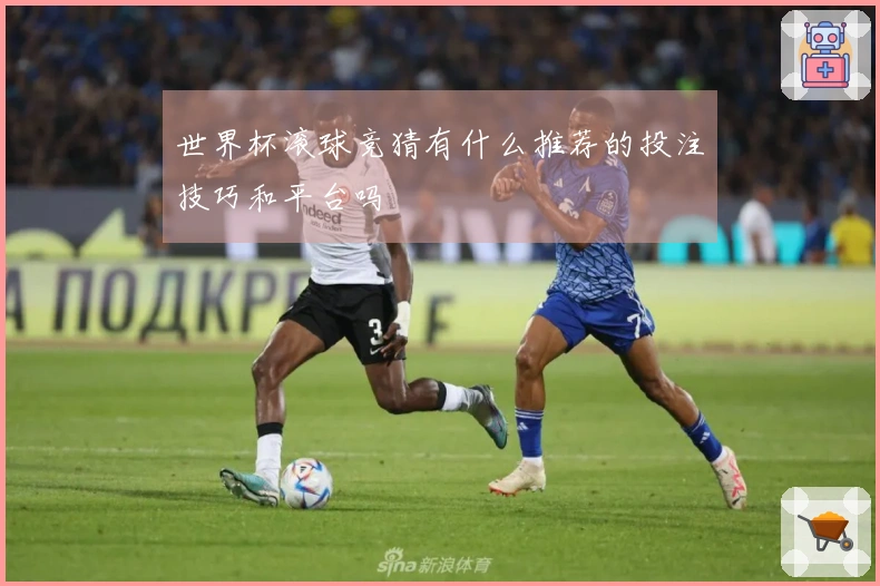 世界杯滚球竞猜有什么推荐的投注技巧和平台吗