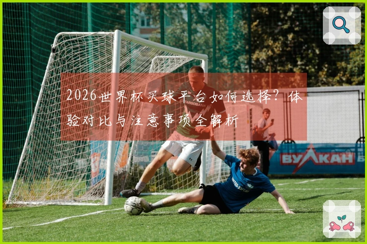 2026世界杯买球平台如何选择？体验对比与注意事项全解析
