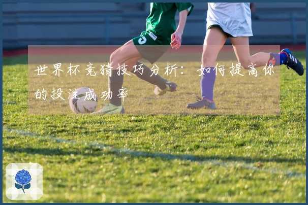 世界杯竞猜技巧分析:如何提高你的投注成功率