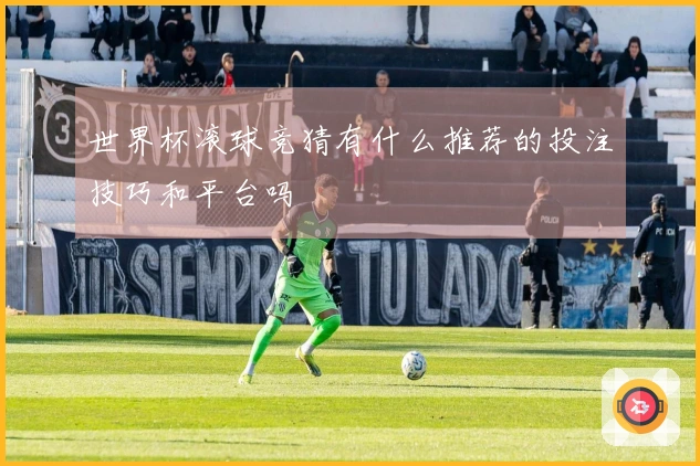 世界杯滚球竞猜有什么推荐的投注技巧和平台吗