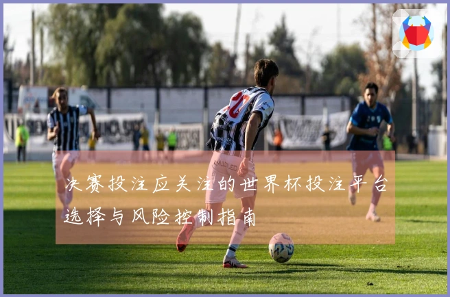 决赛投注应关注的世界杯投注平台选择与风险控制指南