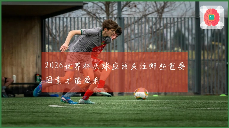 2026世界杯买球应该关注哪些重要因素才能盈利