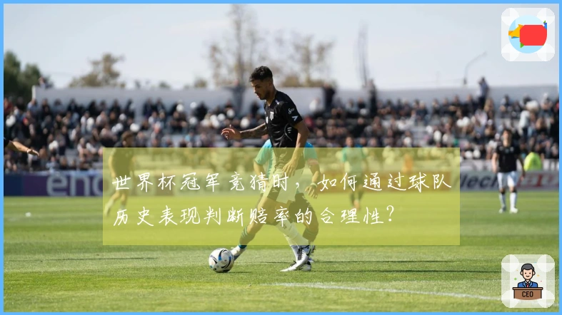 世界杯冠军竞猜时，如何通过球队历史表现判断赔率的合理性？