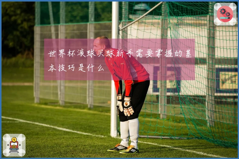 世界杯滚球买球新手需要掌握的基本技巧是什么