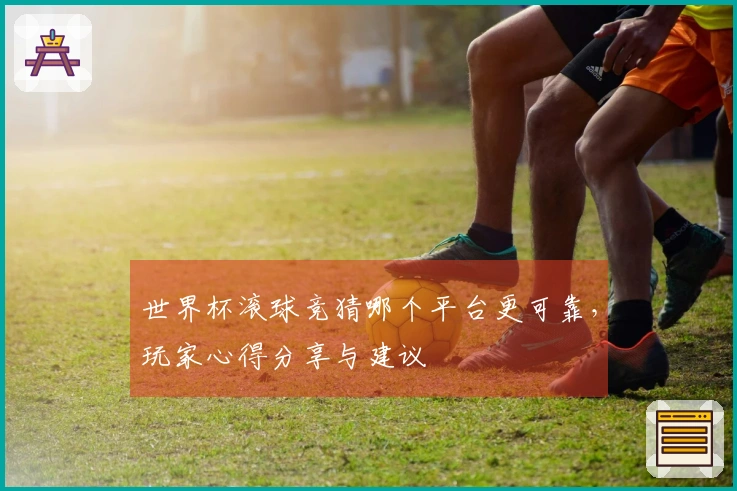 世界杯滚球竞猜哪个平台更可靠，玩家心得分享与建议
