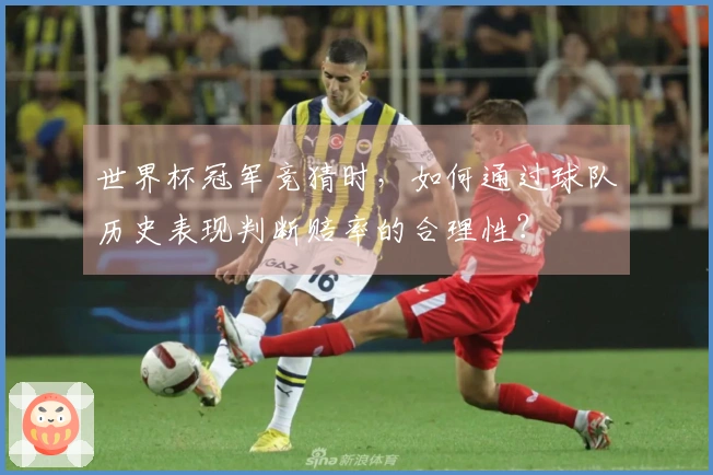 世界杯冠军竞猜时，如何通过球队历史表现判断赔率的合理性？