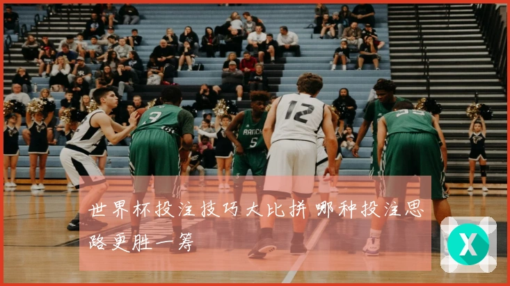 世界杯投注技巧大比拼 哪种投注思路更胜一筹