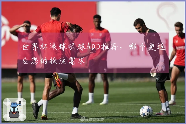 世界杯滚球买球App推荐,哪个更适合您的投注需求
