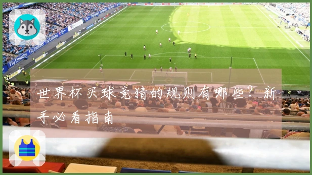 世界杯买球竞猜的规则有哪些？新手必看指南