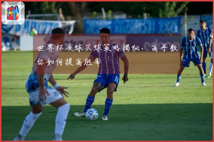 世界杯滚球买球策略揭秘，高手教你如何提高胜率