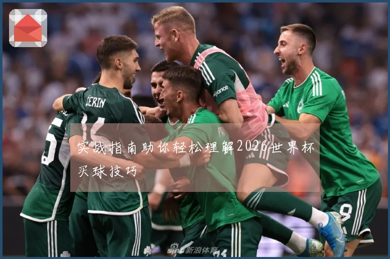 实战指南助你轻松理解2026世界杯买球技巧